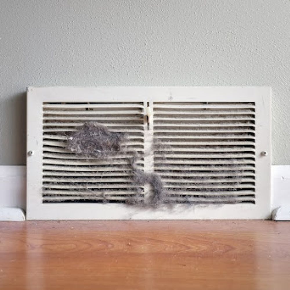 Dust gathered on floor vent.