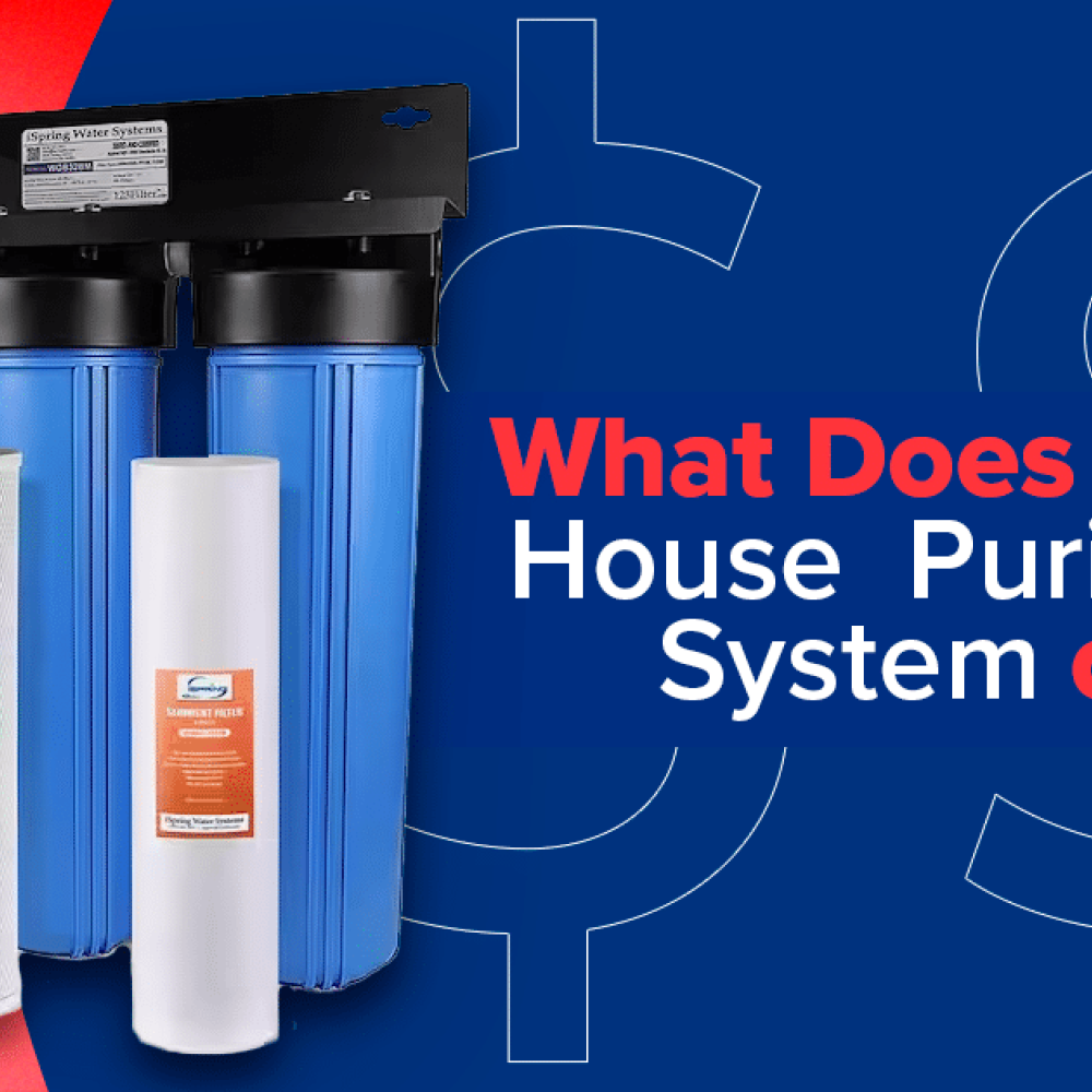 Three blue water filter housings and three replacement filter cartridges are shown next to text asking about the cost of a whole house plumbing purification system.